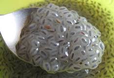 Biji selasih apa sama dengan biji kemangi. Manfaatkan Kebun Kita Biji Selasih