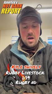 Rugby Livestock Auction