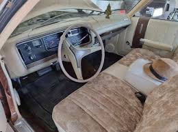 Image result for Chestnut 1973 Fury