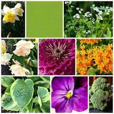 Can't find what you are looking for? Hidden Timber Gardens Hiddentimbergar Profile Pinterest