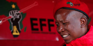 We did not find results for: Economic Freedom Fighters Get Taste Of Power In South Africa