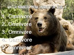 Maybe you would like to learn more about one of these? Temperate Deciduous Forest By Ameri Clark