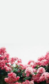 See more ideas about aesthetic iphone wallpaper, aesthetic wallpapers, cute wallpapers. Flower Aesthetic Tumblr Wallpapers Top Free Flower Aesthetic Tumblr Backgrounds Wallpaperaccess