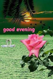 Share tonight your love and thoughts with the woman who stole your heart and make her happy! 190 Good Evening Ideas Good Evening Evening Greetings Evening