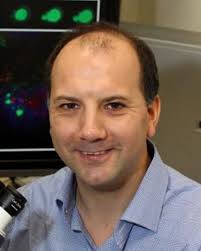 Regenerative Medicine Faculty