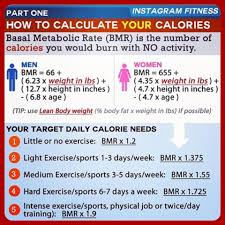 Calculating Bmr Etc Basal Metabolic Rate Calorie