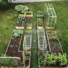 We did not find results for: 36 Amazing Ideas For Growing A Vegetable Garden In Your Backyard