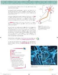 Libro gratis es una de las tiendas en línea favoritas para comprar libro de ciencias naturales 1. Libro De Ciencias Biologia 1 Secundaria Contestado 2018 Libros Famosos