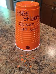 Spider Prank A Harmless Prank I Pulled On My 10 Year Old Daughter Good Pranks Harmless Pranks Spider Prank