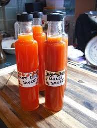 Frequent special offers and discounts up to 70% off for all products! 120 Red Hot And Spicy Ideas Hot Sauce Hot Sauce