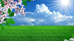 green grass hd wallpaper download 1920x1080 wallpaper teahub io green grass hd wallpaper download