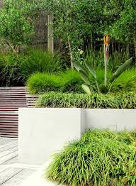 Seed Landscapes Landscape Design In Auckland Small Garden Landscape Garden Landscape Design Succulent Garden Landscape