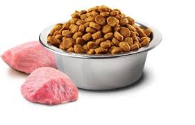 n d balkabakli kuzu etli tahilsiz orta ve buyuk irk yavru kopek mamasi 2 5 kg zoopet