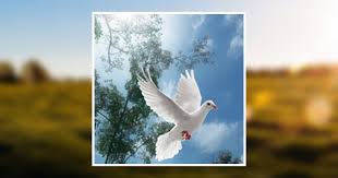 Teresa Ann (Nester) Miller Obituary March 19, 2018