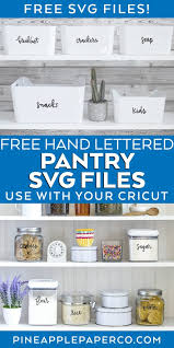 Download Cricut Pantry Labels Svg File Pantry Svg Pineapple Paper Co