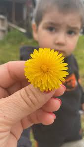 Day three I got a flower I absolutely love this one😍