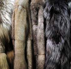 Die kunstfelle sind flauschig weich und passen perfekt auf ihre couch, treffen im spielzimmer bei den kids auf helle. Echtpelz Und Kunstfell So Erkennt Man Den Unterschied Welt