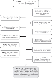 Signs and symptoms of small cell lung cancer include coughing and shortness of breath. Socioeconomic Position And Surgery For Early Stage Non Small Cell Lung Cancer A Population Based Study In Denmark Lung Cancer