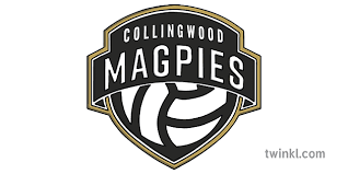 One of three new franchises created to join the suncorp super netball league for the inaugural season, the collingwood magpies were founded in 2016. Collingwood Magpies Nrl Australia Netball Teams Sports Ks1 Illustration