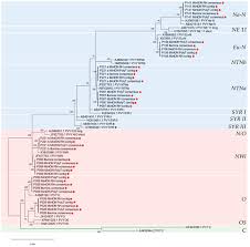 Code reduction mon bac a plantes. Viruses April 2020 Browse Articles