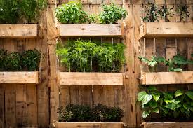Vertikale wände mit töpfen und pflanzgefäßen zum besten preis. Vertikaler Garten Pflanzen In Luftigen Hohen Plantura
