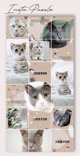 Pet feed store near me. Instagram Puzzle Template Instagram Feed Template Pet Blog Etsy Pet Instagram Pet Blog Pets
