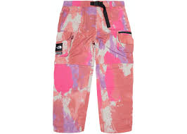 5million fashion products · get sale alerts · over 12,000 designers Supreme The North Face Belted Cargo Pant Multicolor Ss20