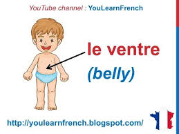 French Lesson 33 Body Parts French Vocabulary Parties Du Corps English Subtitles Partes Del Cuerpo