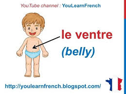 french lesson 33 body parts french vocabulary parties du corps english subtitles partes del cuerpo