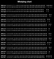 Whelping Chart