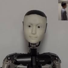 Workflow of the procedure (where the four rows represent the four...