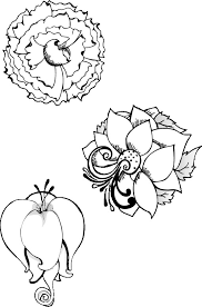 Dessin de fleurs a imprimer. Coloriage Des Fleurs Exotique Couleur Dessin Gratuit A Imprimer