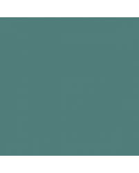 Image result for Turquoise 1960 Buick