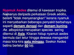 Langkah pencegahan yang boleh dilakukan oleh setiap individu adalah dengan membersihkan tempat nyamuk bertelur. Ppt Bahasa Melayu Penulisan Karangan Powerpoint Presentation Free Download Id 520080