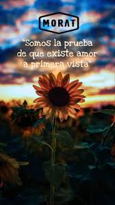 Canciones De Pelicula Amor A Primera Visa Morat A Donde Vamos Cancion En 2020 Frases De Musica Frases De Canciones Morat Canciones