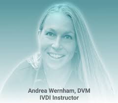 Veterinary Dental Practitioners Program