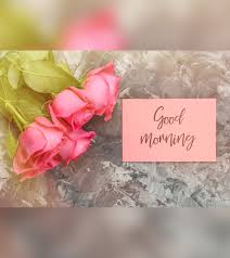 Maybe you would like to learn more about one of these? 55 Beautiful And Romantic Good Morning Poems For Her