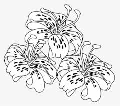This coloring page belongs to these categories: Lily Pad Coloring Page Hd Png Download Kindpng