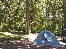 Sibley State Park Lake View Campground Site 44 Sibley State Park Lake View State Parks