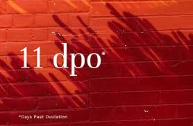 This could appear as light streaks or spots of color on your underwear or the toilet paper when you wipe. 11 Dpo What Symptoms Signs To Expect Avaworld