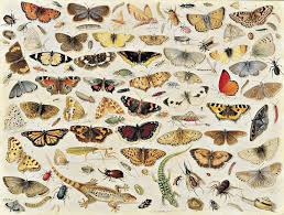 Try finding the one that is right for you by choosing the price range, brand, or specifications that meet your needs. Artifact Puzzles Kessel Shells Wooden Jigsaw Puzzle Brand New Jigsaw Toys Hobbies