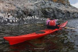 Going kayaking for the first time? Kayaking With Penguins Kayaking With Penguins Simon S Town Kayak With Penguins Waterfront Kayaking Kayaking Kayak Fishing Kayaking Near Me