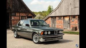 Image result for Oldeania alpina