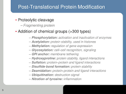 Phosphorylation plays a key role in regulating growth cone migration and protein trafficking in nerve terminals. Post Translational Modifications Ppt Download