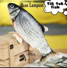 Hal yang kemudian menjadi sorotan adalah harga ikan tersebut senilai rp 700 juta. Ikan Tik Tok Viral 1 Ekor Rm Kaki Shpping Barang Murah Facebook