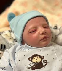 New Peppa Pig Home with Baby Evie Dollhouses & Play Sets