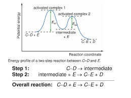 In other words, it refers to a collection of intermediate structures in a chemical reaction that persist while bonds are breaking and. Activation Energy Activation Energy And Energy Profile Ppt Download