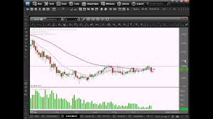 esignal charts and information for forex traders