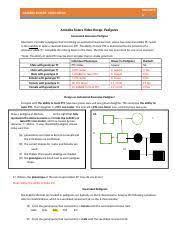 Amoeba sisters pedigree worksheet answer key. Amoeba Sisters Pedigree Practice Final Pdf Amoeba Sisters Video Recap Pedigrees Amoeba Sisters Video Recap Pedigrees Autosomal Recessive Pedigree Course Hero