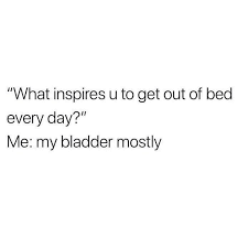  Instagram Post By 3am Thoughts Mar 13 2019 At 4 50am Utc Funny Quotes Getting Out Of Bed 3am Thoughts